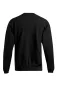 Preview: Men´s Sweater Promodoro 2199 - black