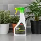 Preview: SOTIN BIO Allzweck mit Grapefruitöl