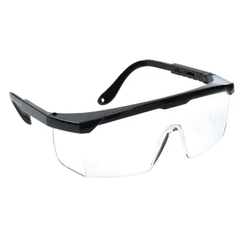Panorama Schutzbrille plus